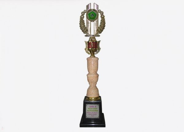 Environmental Award